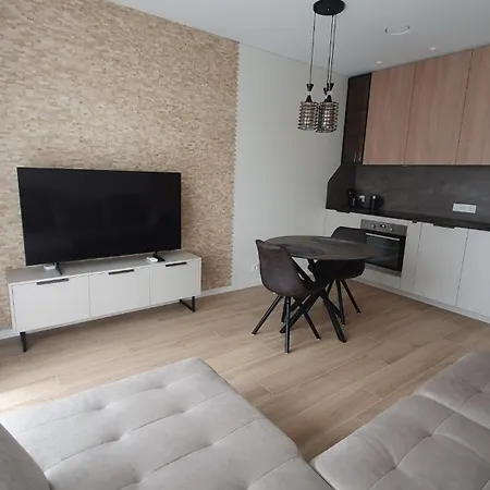 Cozy Night And Day Apartment Kaunas